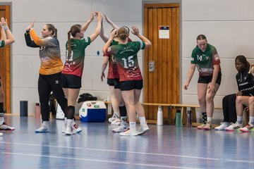 Bild 176 - F HSG Kremperheide/Muensterdorf - HSG Holstein Kiel/Kronshagen : Ergebnis: 31:26